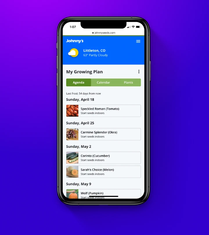 Web ui web ui 02