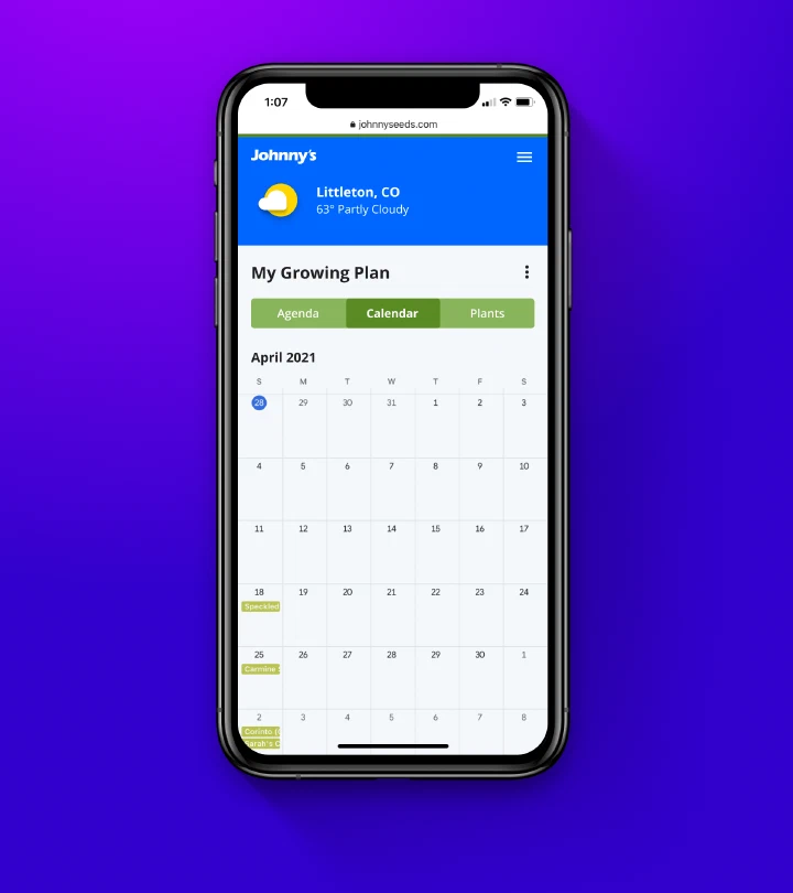 Web ui web ui 03