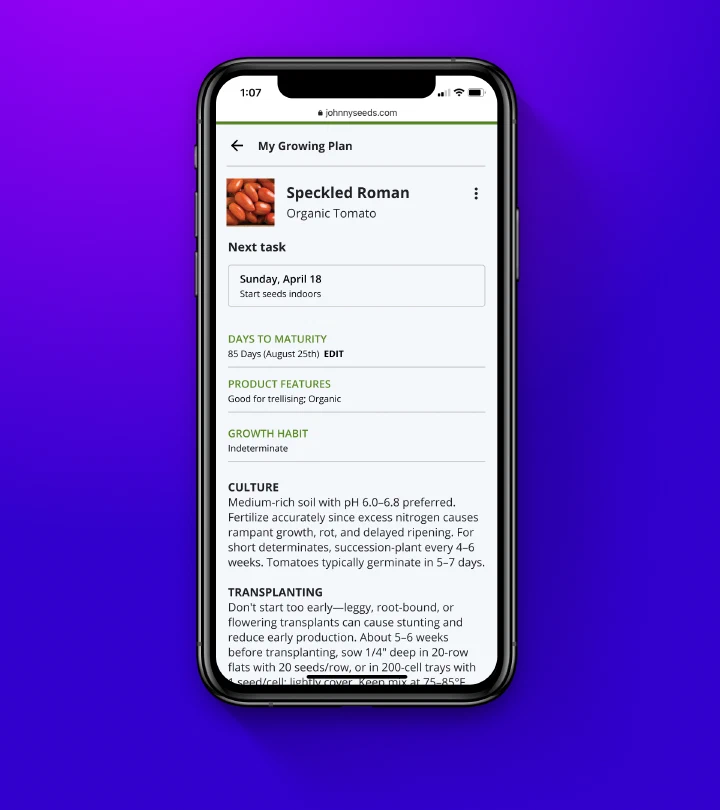 Web ui web ui 04
