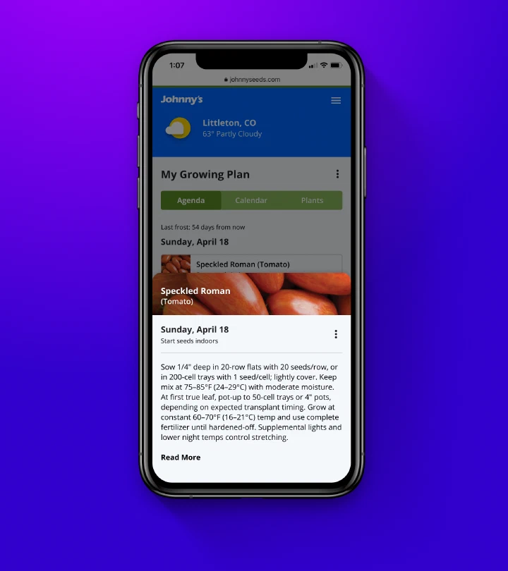 Web ui web ui 05
